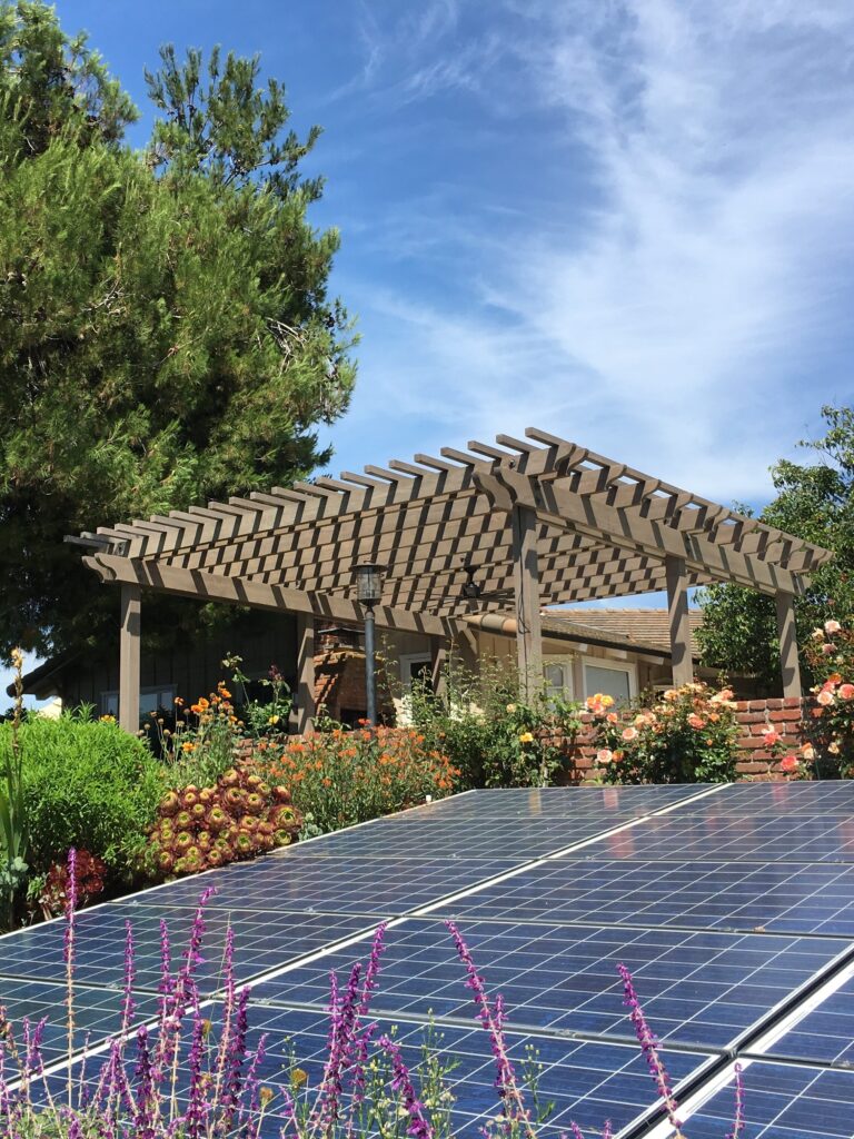 Solar panel array sitting in a garden below a pergola. 